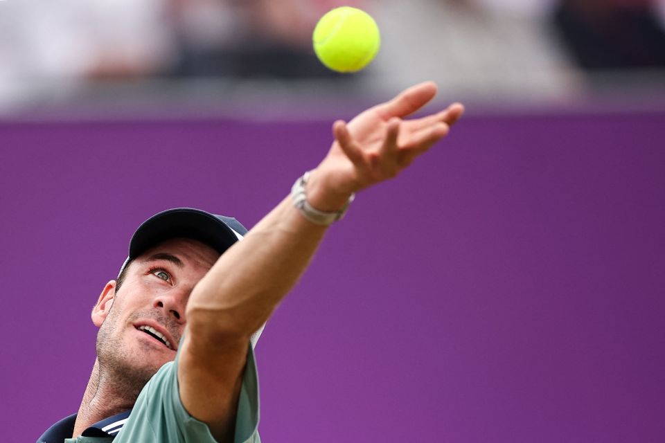 则使用中文 则使用中文